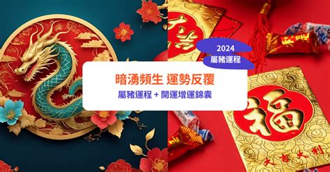 屬豬今年運勢|【屬豬2024生肖運勢】暗湧頻生，運勢反覆｜屬豬運 